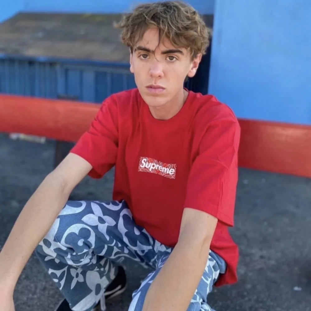 Supreme | Bandana Box Logo Tee